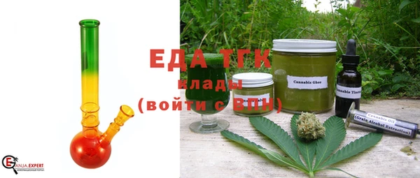 индика Богородицк