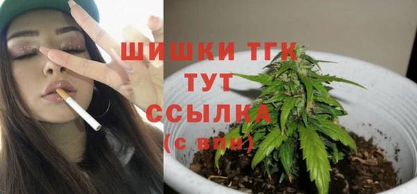 mix Богородск