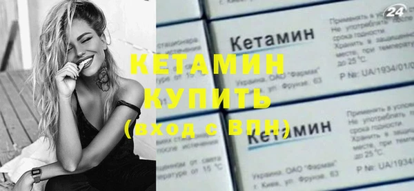 индика Богородицк