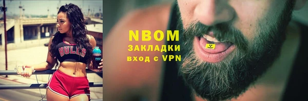 индика Богородицк