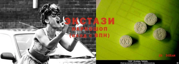 индика Богородицк