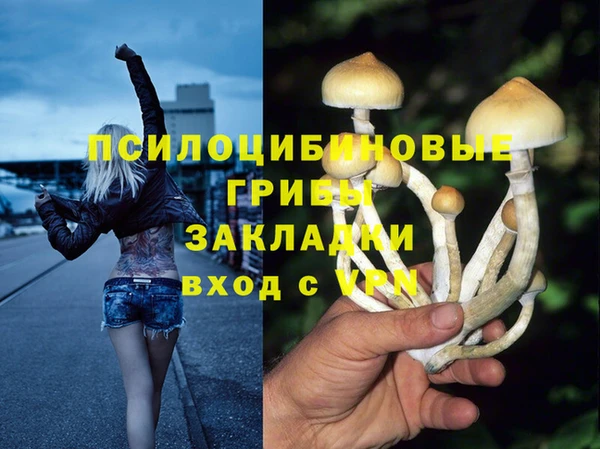 mix Богородск