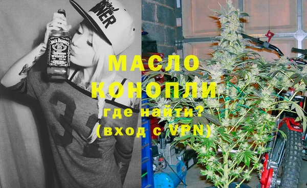 индика Богородицк