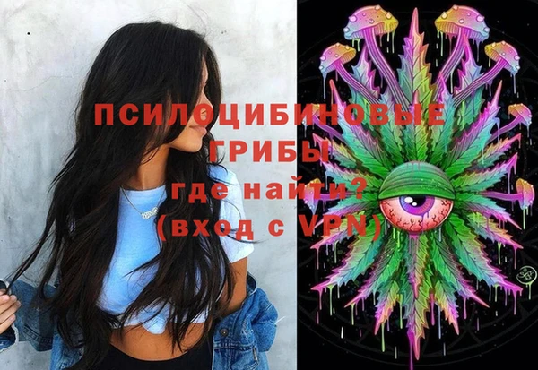 индика Богородицк