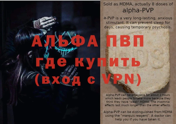 индика Богородицк