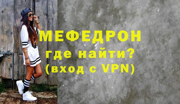 индика Богородицк