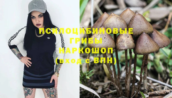 mix Богородск