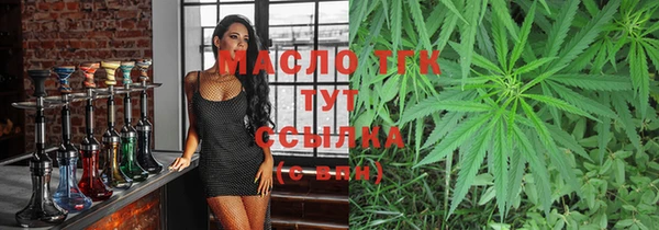 индика Богородицк