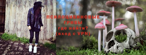 mix Богородск
