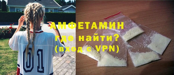 индика Богородицк