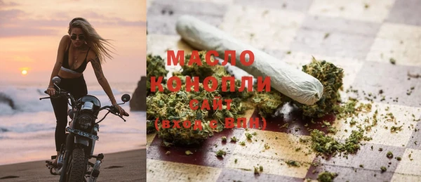 индика Богородицк