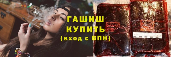 индика Богородицк