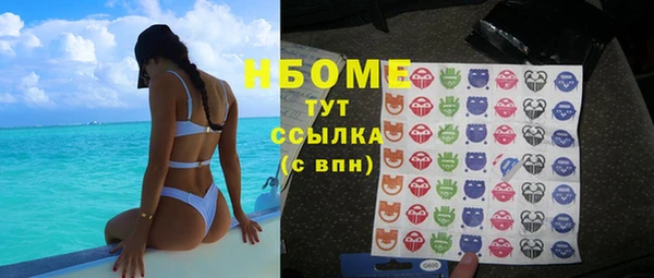 индика Богородицк