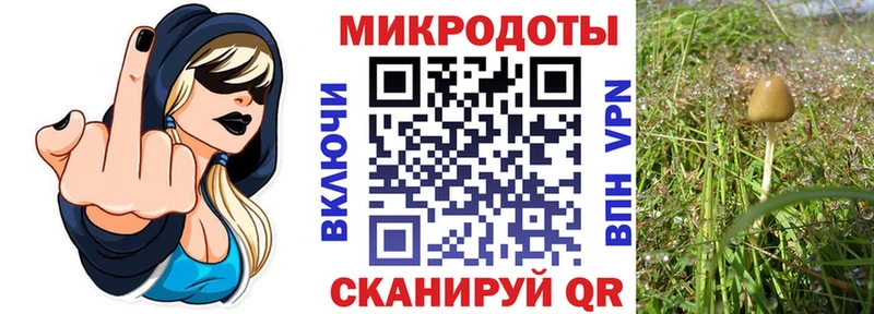 Псилоцибиновые грибы Psilocybine cubensis  кракен маркетплейс  Орехово-Зуево 